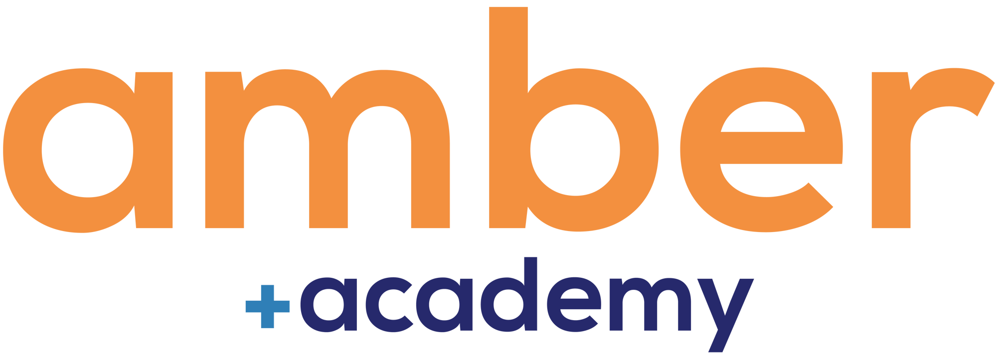 Logo_amberAcademy+ (2)